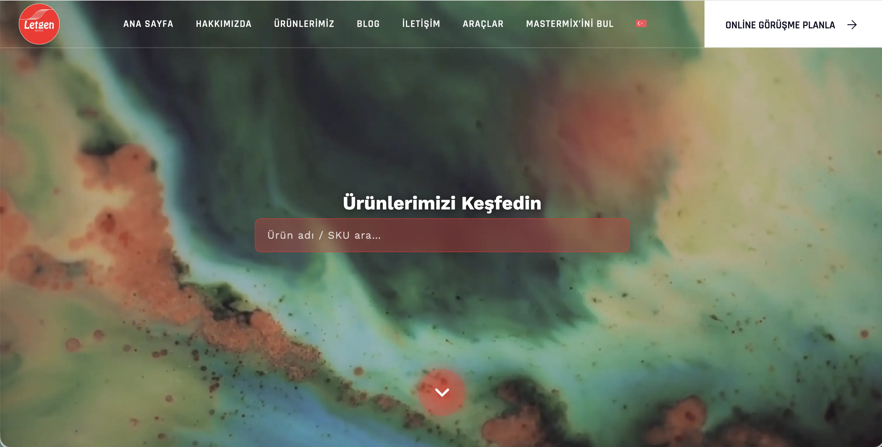 Letgenbio Web Tasarım